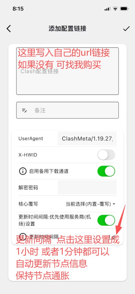 粘贴 Clash 配置链接