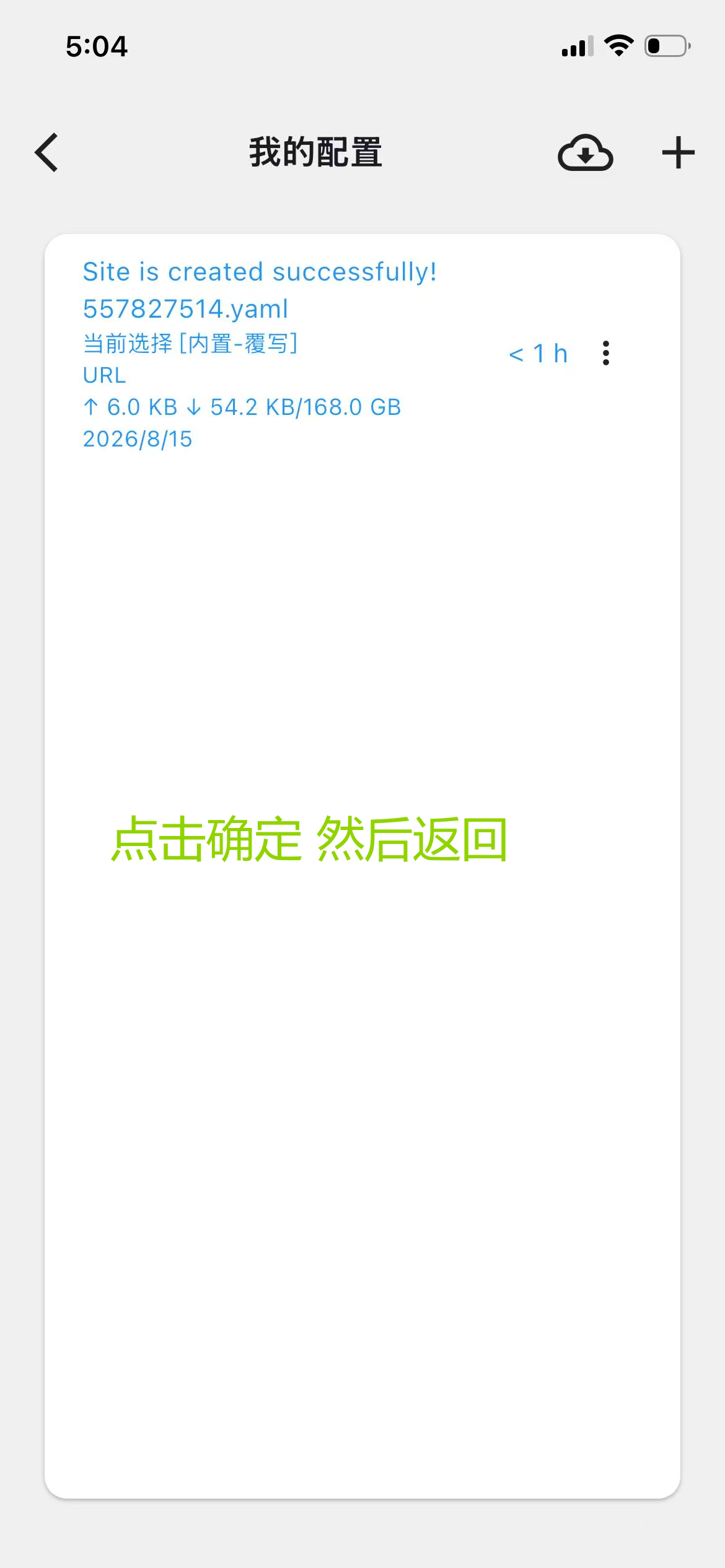 配置创建成功显示流量与到期