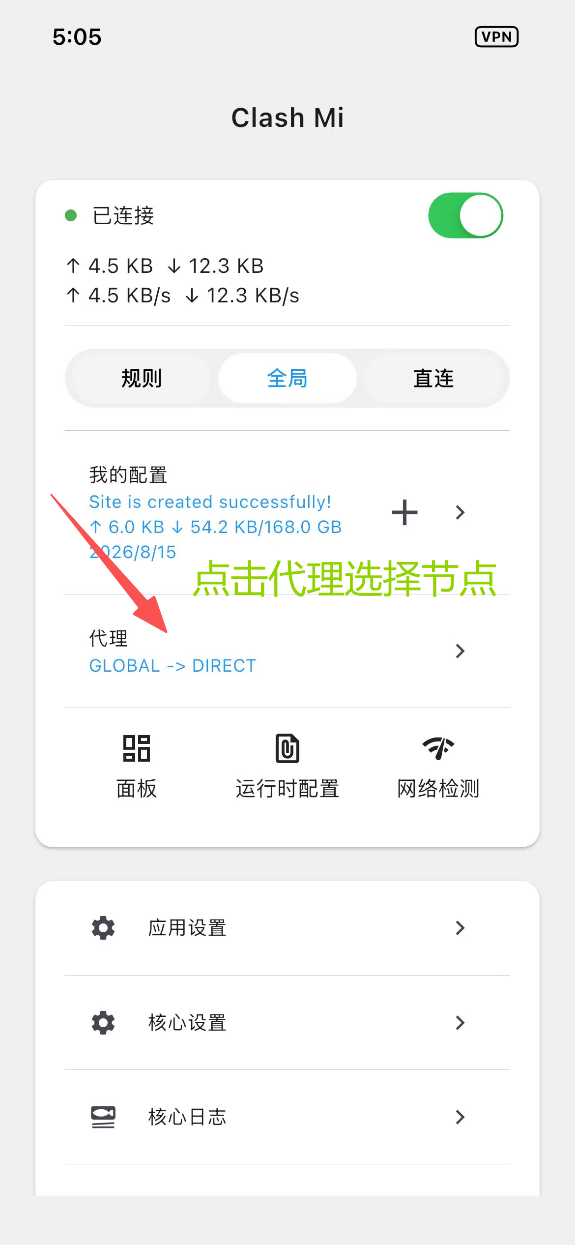 已连接状态与代理入口
